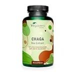 Los beneficios del hongo chaga en la parafarmacia: Análisis de los mejores productos del mercado