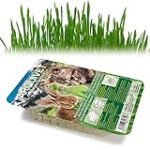 ¿Hierba de Cabra en Celo: Dónde Comprar el Mejor Producto en Parafarmacia?