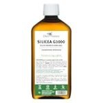 Silicea: Descubre los beneficios y usos en la parafarmacia - Análisis y comparativa de los mejores productos