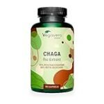 Chaga Fungus: El hongo de la salud en la parafarmacia, análisis y comparativa de los mejores productos