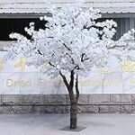 Análisis de productos de parafarmacia: Descubre los beneficios de la cereza blanca