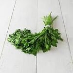 Beneficios y usos del perejil en productos de parafarmacia: ¿Por qué es tan popular?