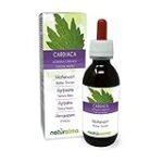 Análisis y comparativa de los mejores productos de parafarmacia con agripalma: ¡Descubre sus beneficios! Análisis y comparativa de los mejores productos de parafarmacia con agripalma: ¡Descubre sus beneficios!