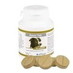 Análisis de los mejores productos de parafarmacia a base de jengibre para perros: ¡Cuida la salud de tu mascota de forma natural!