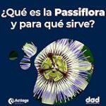 Passiflora: descubre para qué sirve y cuáles son los mejores productos de parafarmacia