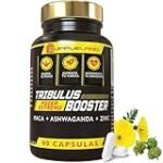 Análisis y comparativa de los mejores productos de parafarmacia con ashwagandha para aumentar masa muscular Análisis y comparativa de los mejores productos de parafarmacia con ashwagandha para aumentar masa muscular